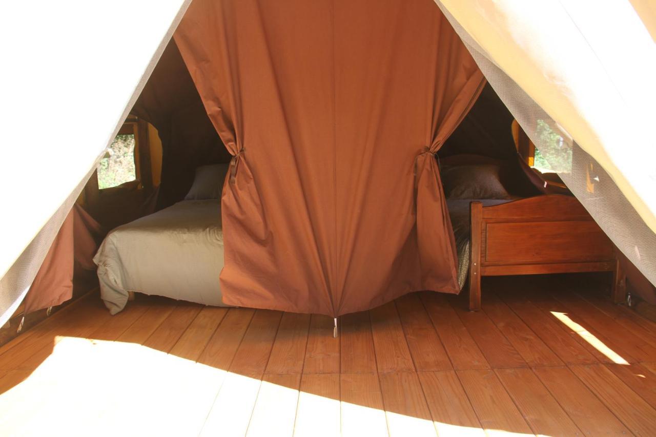 Chez Tombivouac